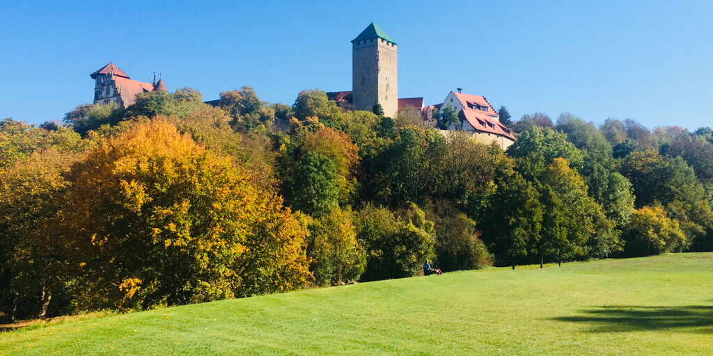 Blick vom Golfplatz auf Schloß Liebenstein